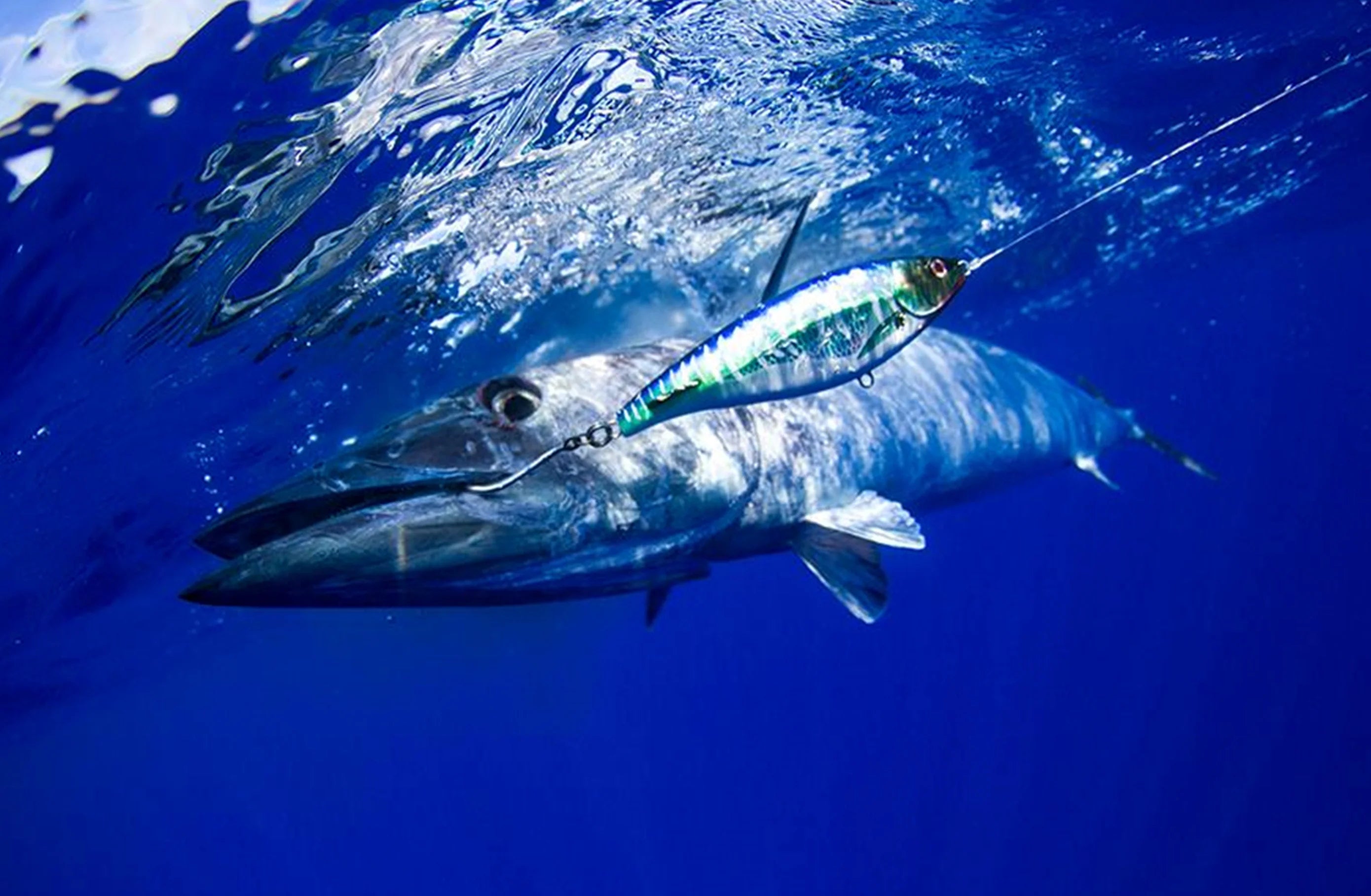 Nomad Designs Wahoo Trolling Bundle (Hand Picked)